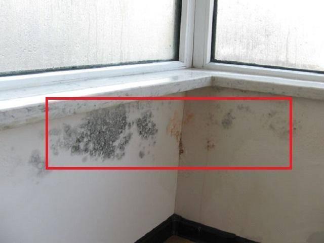 家裡窗戶漏水啦！窗戶漏水要怎麼處理？